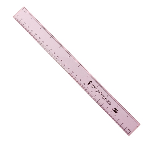 thuoc nhua TL 30cm vppminhanh.vn